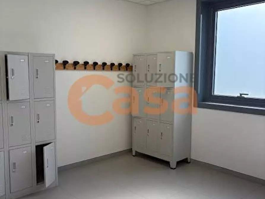 Immagine 16 di Magazzino in affitto  in Viale dell'Industria a Castel San Giovanni