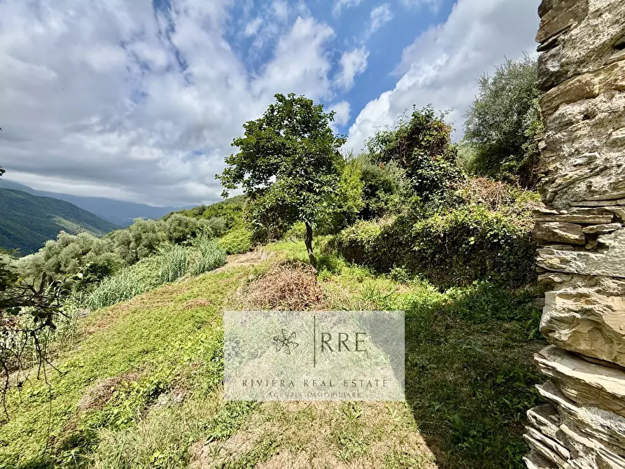 Immagine 6 di Rustico / casale in vendita  in case Soprane fraz. Acquetico a Armo