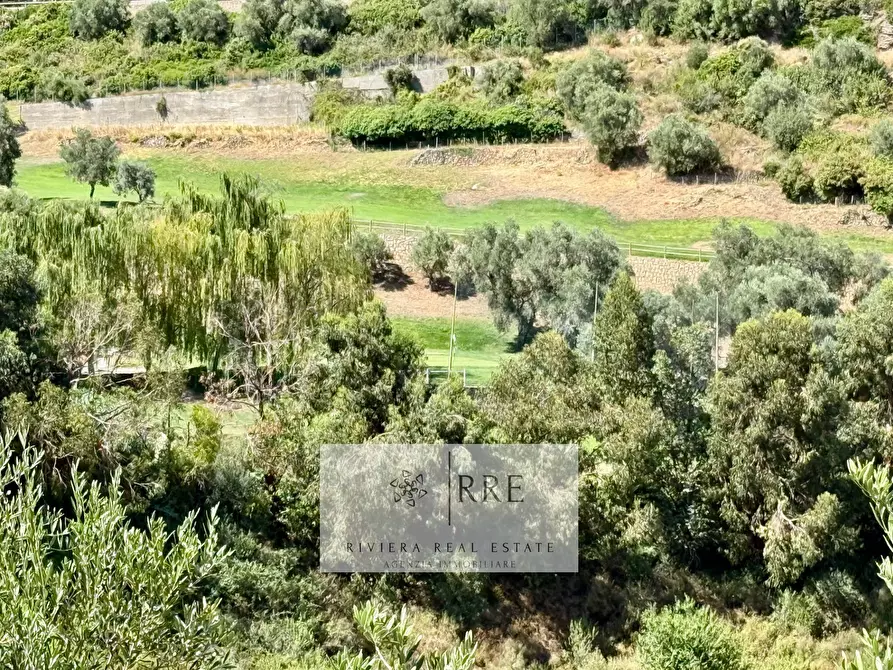 Immagine 27 di Appartamento in vendita  in Castellaro Golf Resort a Castellaro