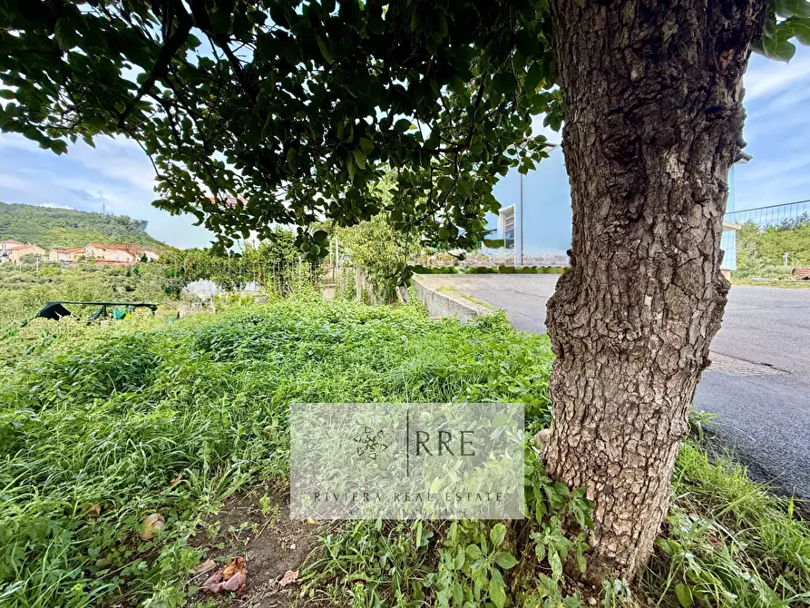 Immagine 50 di Casa indipendente in vendita  in fraz. Segno a Quiliano