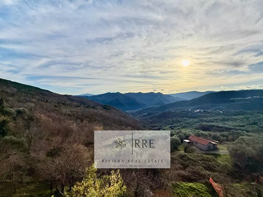Immagine 5 di Casa indipendente in vendita  a Aquila D'arroscia