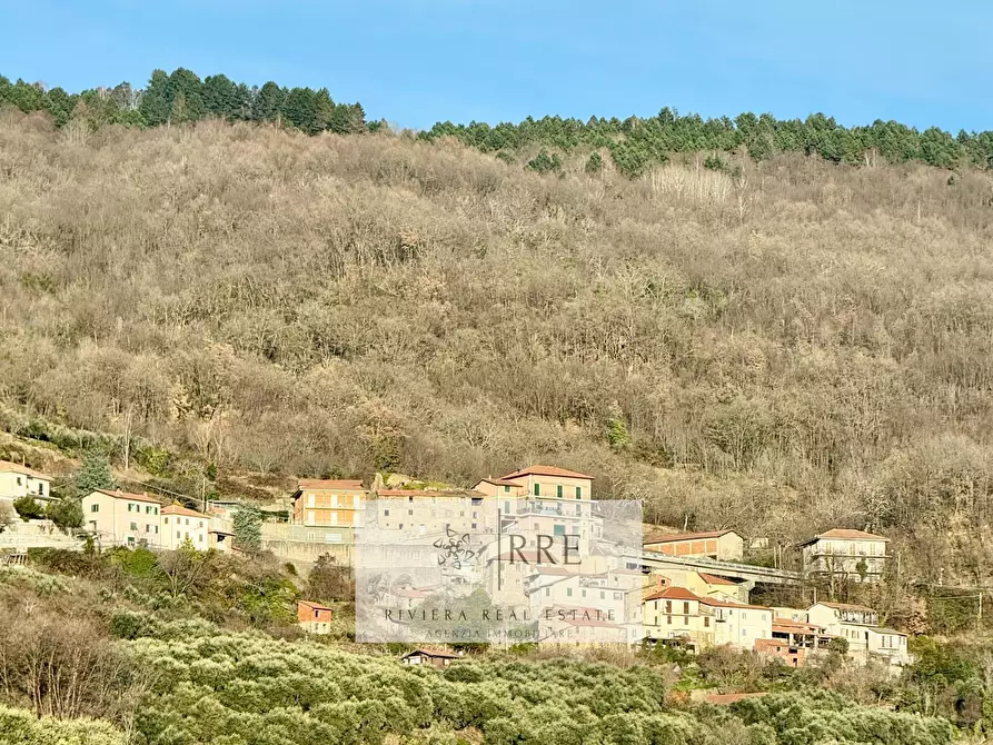 Immagine 35 di Casa indipendente in vendita  a Aquila D'arroscia