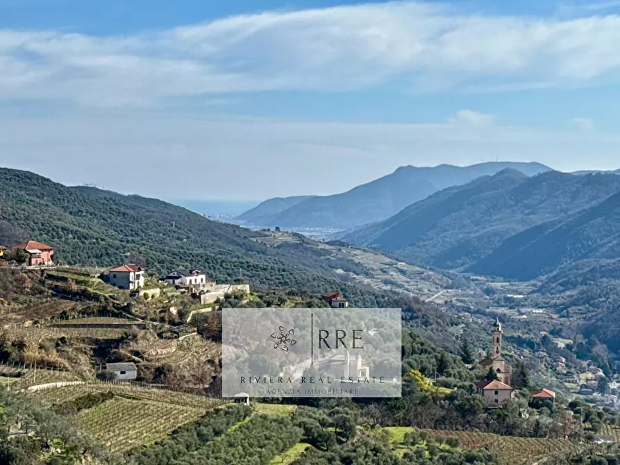 Immagine 2 di Rustico / casale in vendita  in Borgata Aracà a Montalto Carpasio
