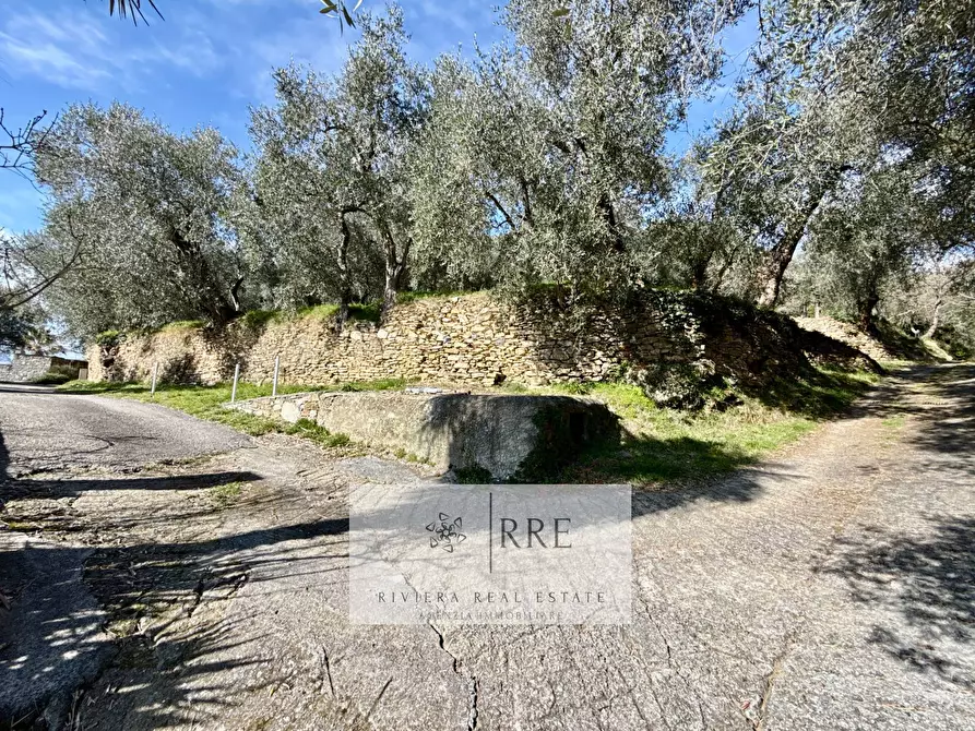 Immagine 73 di Rustico / casale in vendita  in Borgata Aracà a Montalto Carpasio