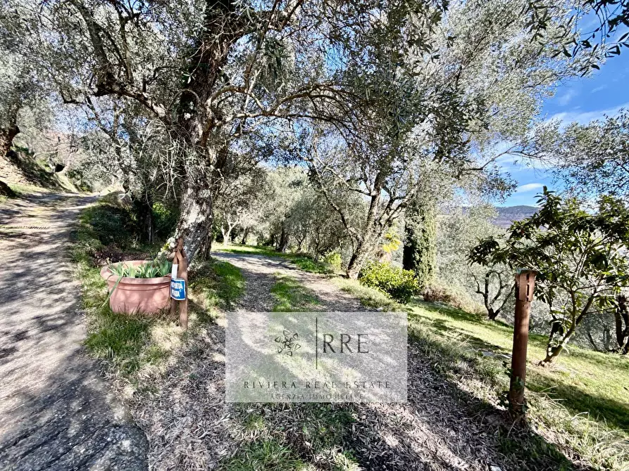 Immagine 74 di Rustico / casale in vendita  in Borgata Aracà a Montalto Carpasio