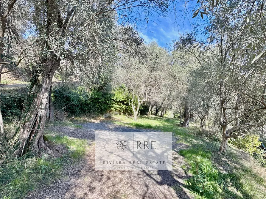 Immagine 75 di Rustico / casale in vendita  in Borgata Aracà a Montalto Carpasio