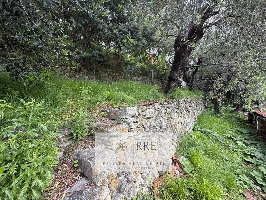 Immagine 52 di Casa indipendente in vendita  in Borgata Chiesa a Loano