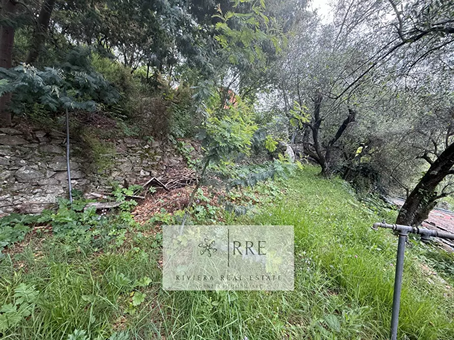 Immagine 54 di Casa indipendente in vendita  in Borgata Chiesa a Loano