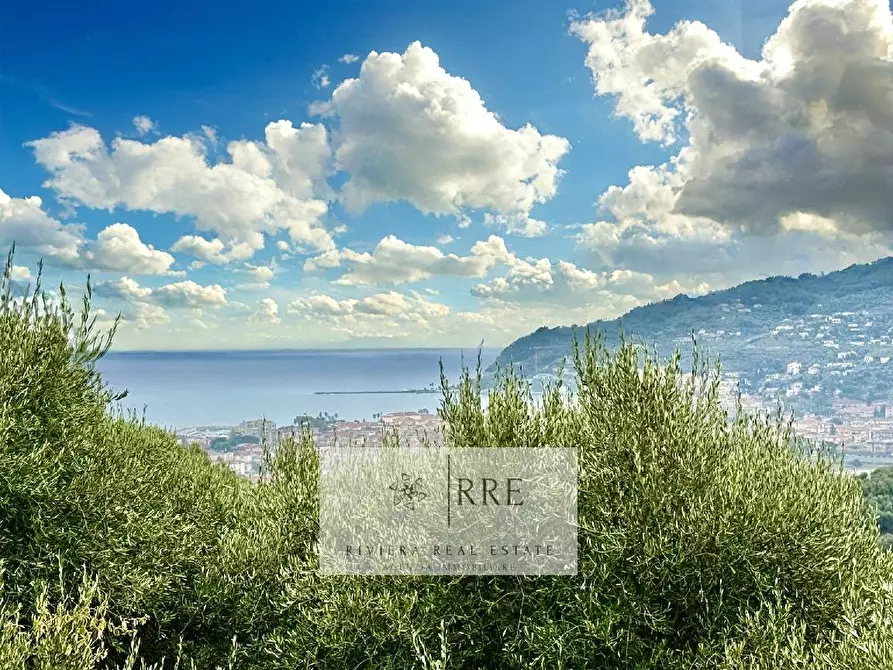 Immagine 5 di Villa in vendita  in via degli Ulivi a Diano Arentino