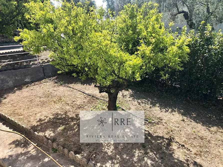 Immagine 20 di Villa in vendita  in via Monade a Diano Arentino