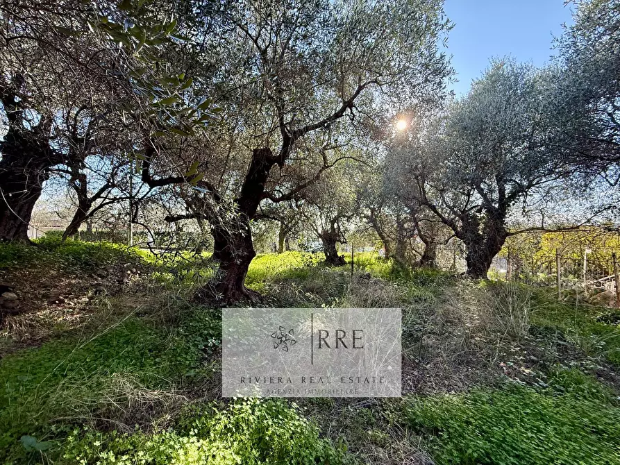 Immagine 22 di Villa in vendita  in via Monade a Diano Arentino