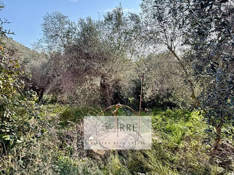 Immagine 24 di Villa in vendita  in via Fanny Roncati Carli a Imperia