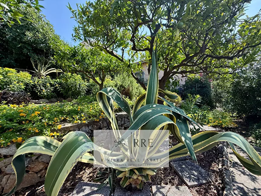 Immagine 29 di Villa in vendita  in Villaggio del Sole a Borgio Verezzi