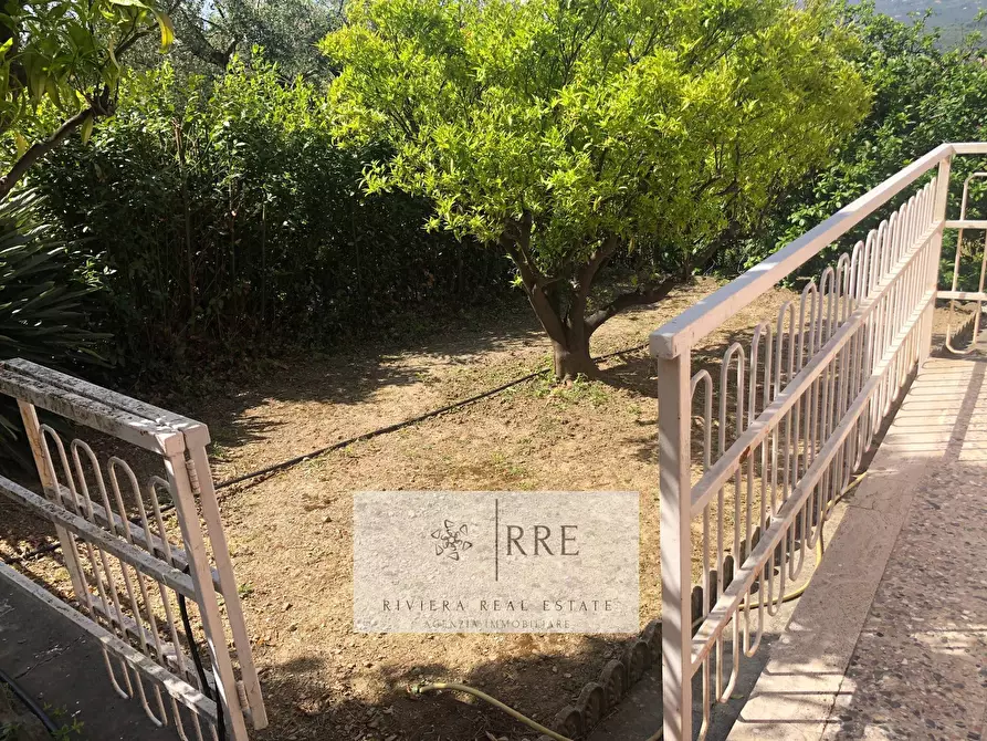 Immagine 18 di Villa in vendita  in via Monade a Diano Arentino