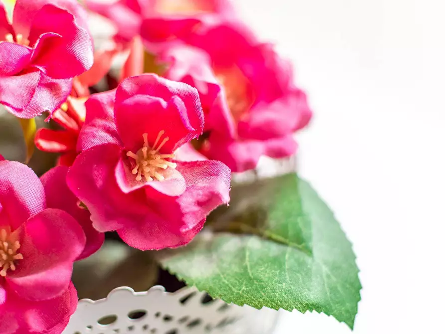 Immagine 16 di Appartamento in affitto  in Via montelatici 3 a Firenze