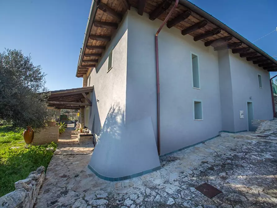 Immagine 6 di Villa in vendita  in C.DA CASTELVECCHIO 4 a Francavilla Al Mare