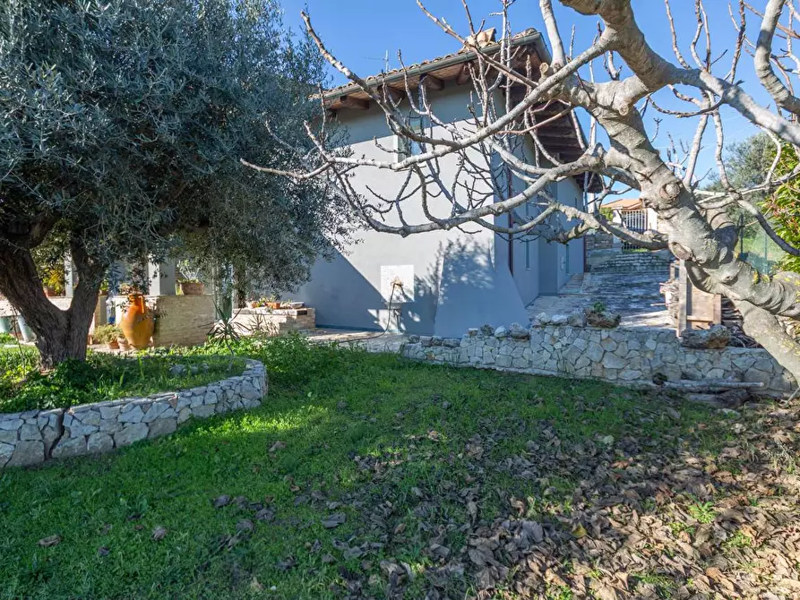 Immagine 7 di Villa in vendita  in C.DA CASTELVECCHIO 4 a Francavilla Al Mare