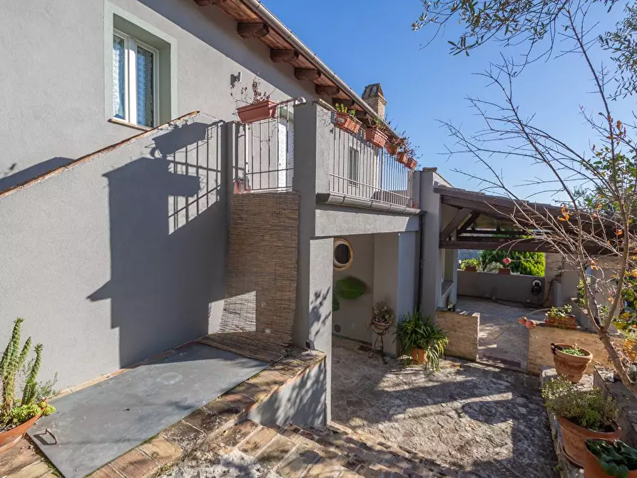 Immagine 8 di Villa in vendita  in C.DA CASTELVECCHIO 4 a Francavilla Al Mare