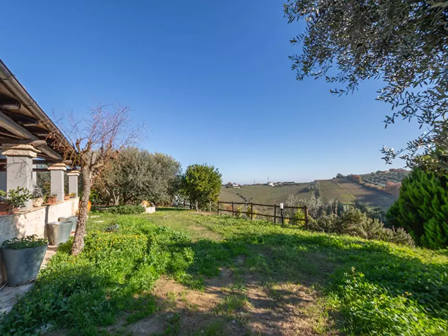 Immagine 11 di Villa in vendita  in C.DA CASTELVECCHIO 4 a Francavilla Al Mare