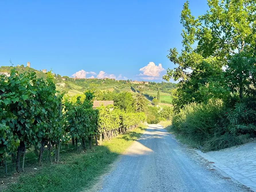 Immagine 29 di Casa indipendente in vendita  in strada di poggioluglio a San Gimignano