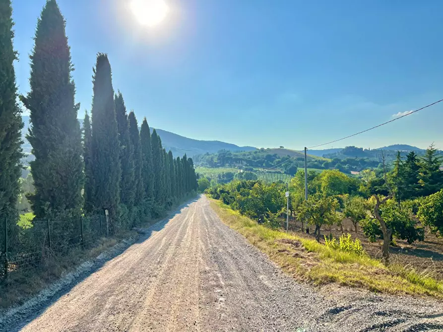Immagine 30 di Casa indipendente in vendita  in strada di poggioluglio a San Gimignano