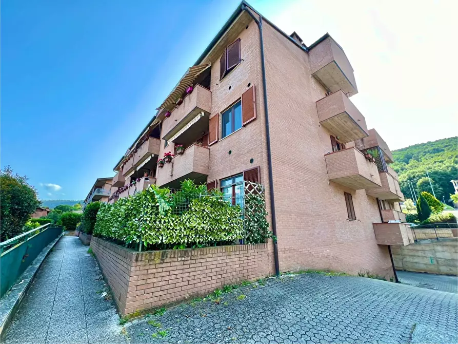 Immagine 24 di Appartamento in vendita  in via ettore bastianini a Sovicille