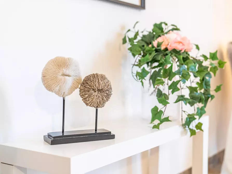 Immagine 3 di Appartamento in vendita  in Via 24 maggio a Siena