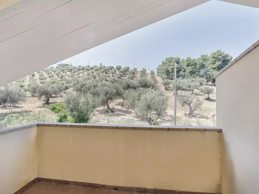 Immagine 36 di Casa semindipendente in vendita  in C.da COCCIONI 28/A a Silvi