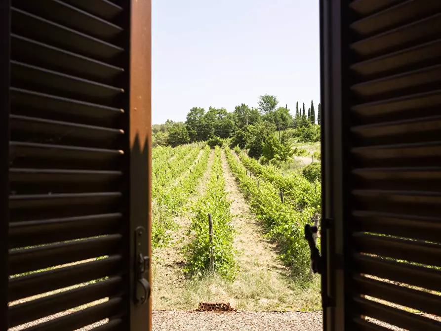Immagine 50 di Casa indipendente in vendita  in strada di san paolo 1 a Castelnuovo Berardenga