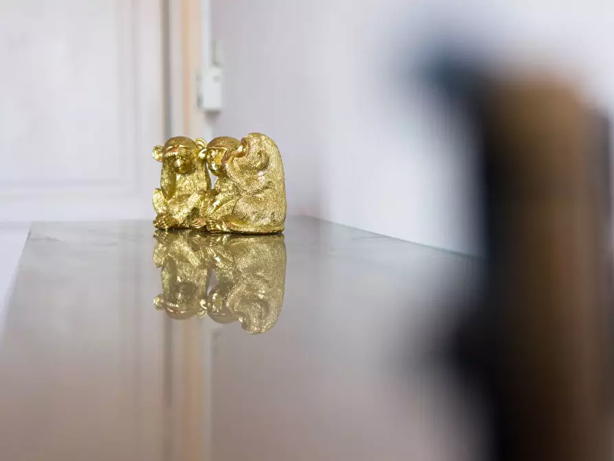 Immagine 7 di Appartamento in vendita  in piazza puccini 20 a Firenze