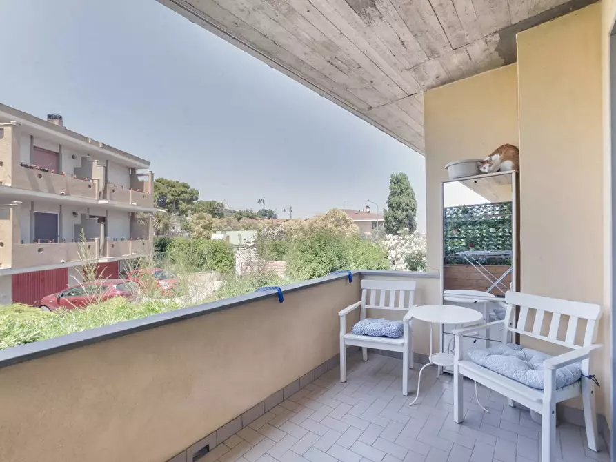 Immagine 27 di Casa indipendente in vendita  in C.DA SAN SILVESTRO 49 a Silvi