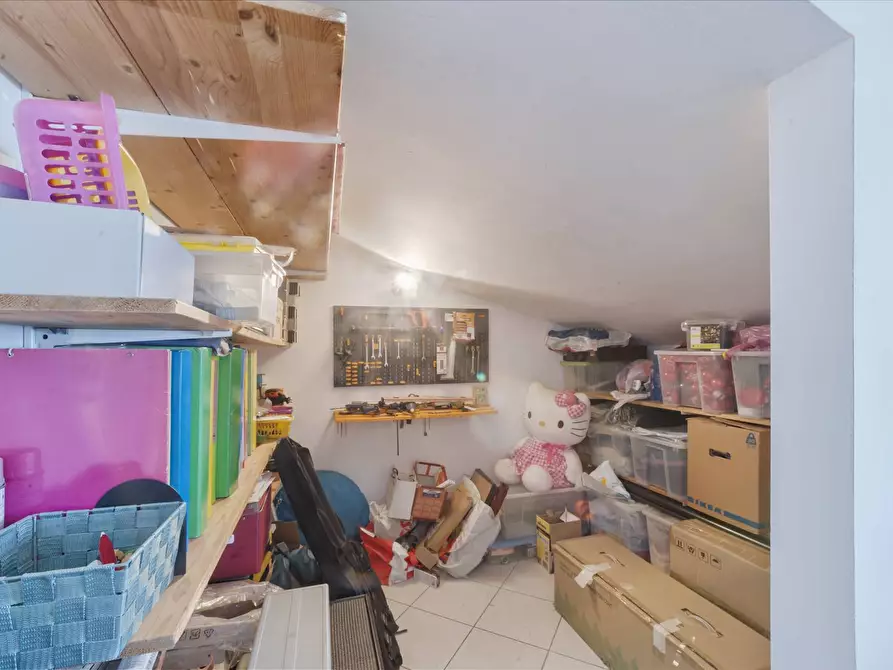 Immagine 31 di Casa indipendente in vendita  in C.DA SAN SILVESTRO 49 a Silvi