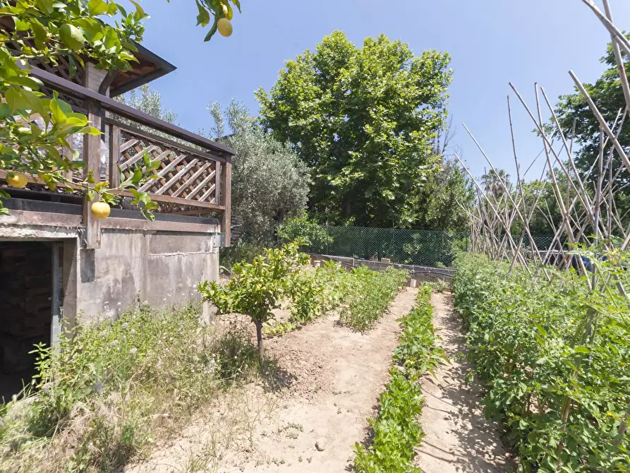 Immagine 100 di Casa indipendente in vendita  in C.DA SAN SILVESTRO 49 a Silvi