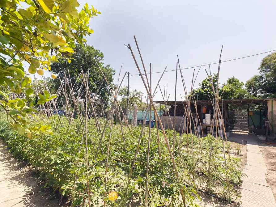 Immagine 38 di Appartamento in vendita  in C.DA SAN SILVESTRO 49 a Silvi