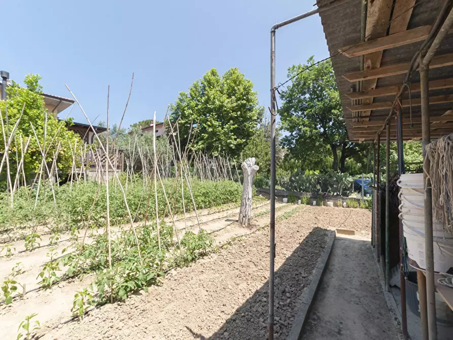 Immagine 44 di Appartamento in vendita  in C.DA SAN SILVESTRO 49 a Silvi