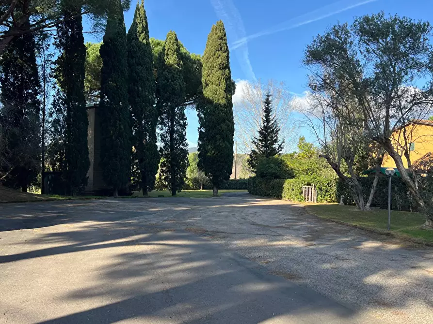 Immagine 48 di Appartamento in vendita  in STRADA PROVINCIALE 62 DELLE ROCCHETTE a Castiglione Della Pescaia