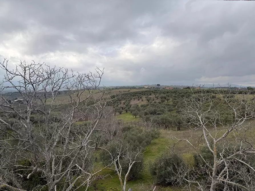 Immagine 14 di Appartamento in vendita  in VIA NORA 110 a Pianella