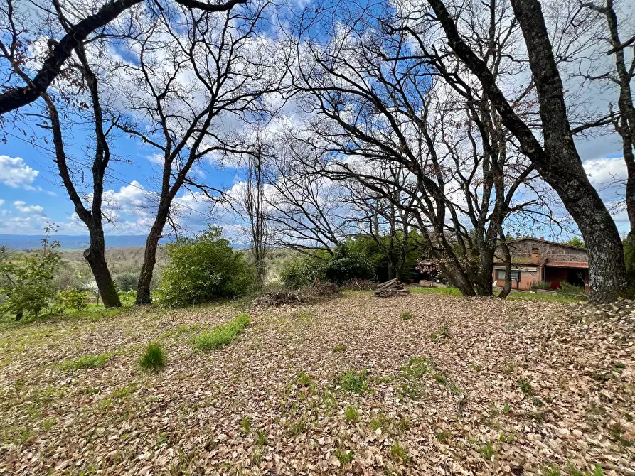 Immagine 55 di Appartamento in vendita  in strada di mocenni a Castelnuovo Berardenga