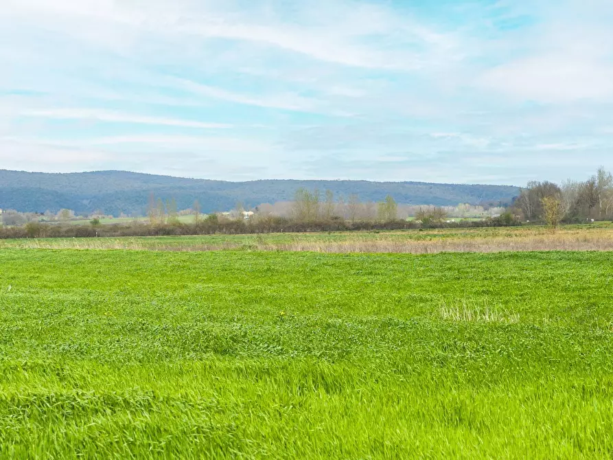Immagine 53 di Villetta a schiera in vendita  in strada del padule 204 a Sovicille