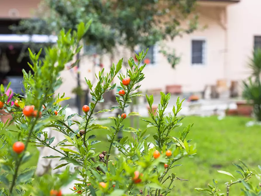 Immagine 75 di Villa in vendita  in Via Del Palazzo Dei Diavoli 67 a Firenze
