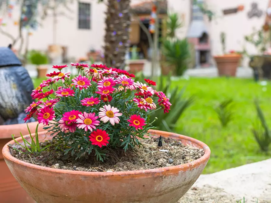 Immagine 76 di Villa in vendita  in Via Del Palazzo Dei Diavoli 67 a Firenze