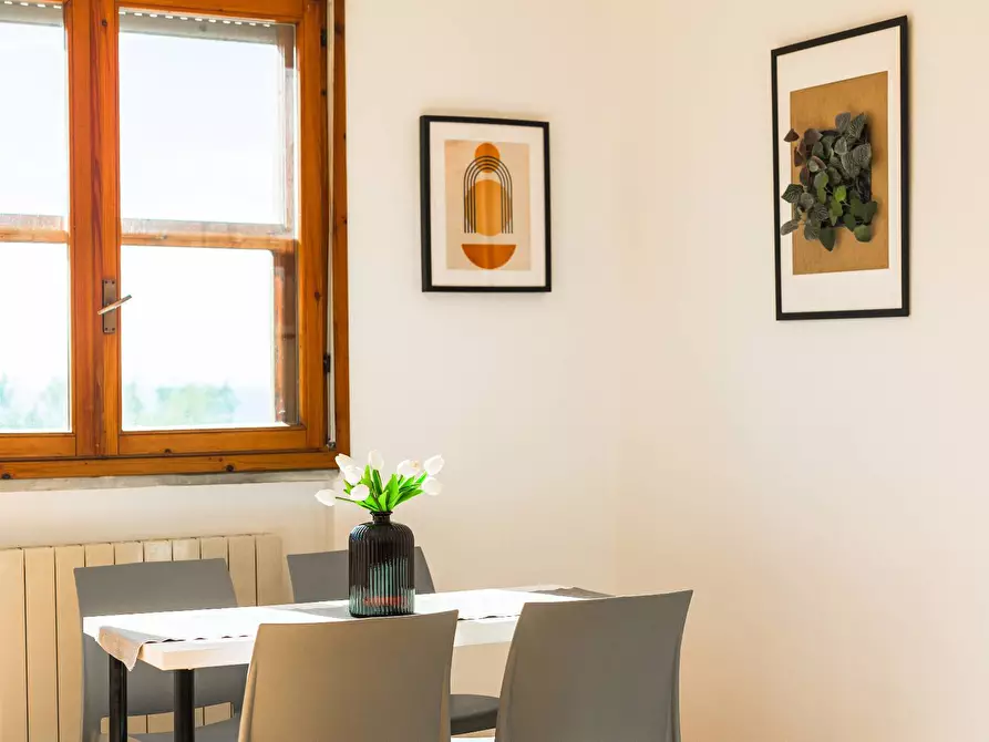 Immagine 31 di Appartamento in vendita  in via galimberti 1 a San Vincenzo