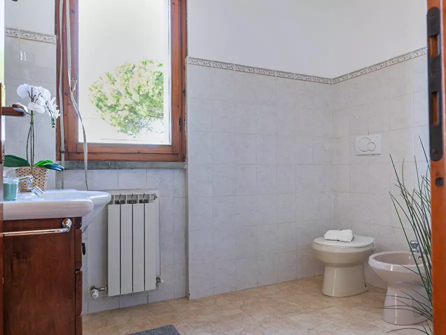 Immagine 26 di Appartamento in vendita  in via galimberti 1 a San Vincenzo