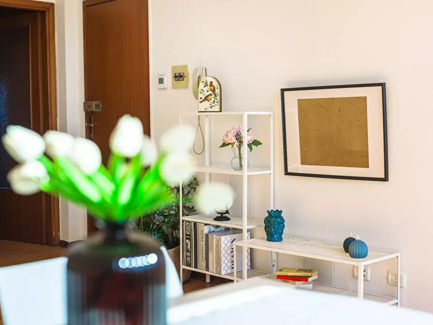 Immagine 34 di Appartamento in vendita  in via galimberti 1 a San Vincenzo