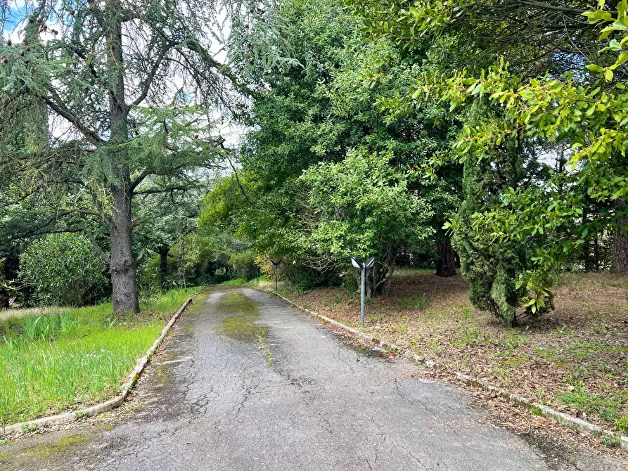 Immagine 45 di Villa in vendita  in strada di mocenni a Castelnuovo Berardenga