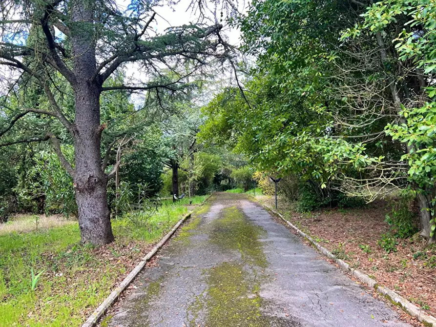Immagine 47 di Villa in vendita  in strada di mocenni a Castelnuovo Berardenga