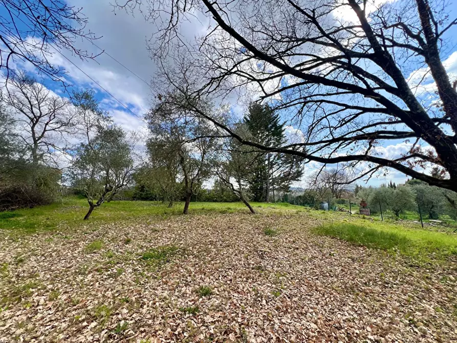 Immagine 56 di Villa in vendita  in strada di mocenni a Castelnuovo Berardenga