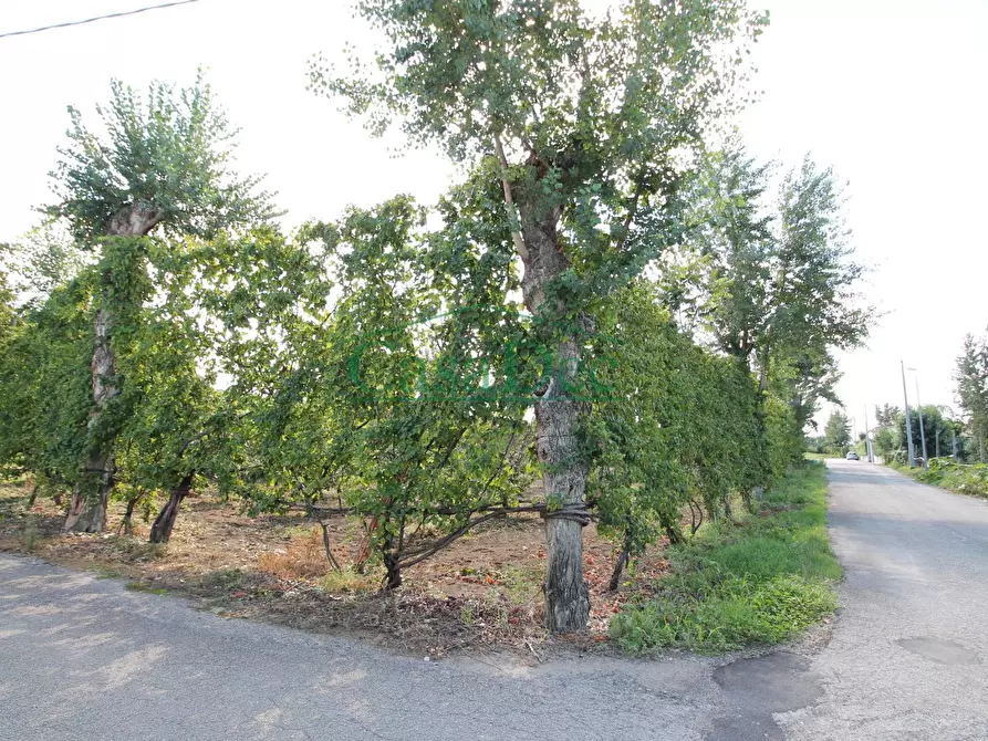 Immagine 1 di Terreno residenziale in vendita  in Via S.Antonio 4 Traversa a Cancello Ed Arnone