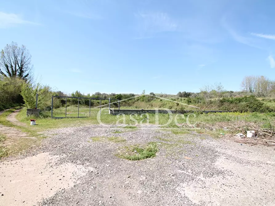 Immagine 2 di Terreno residenziale in vendita  in Via Casilina snc a Calvi Risorta