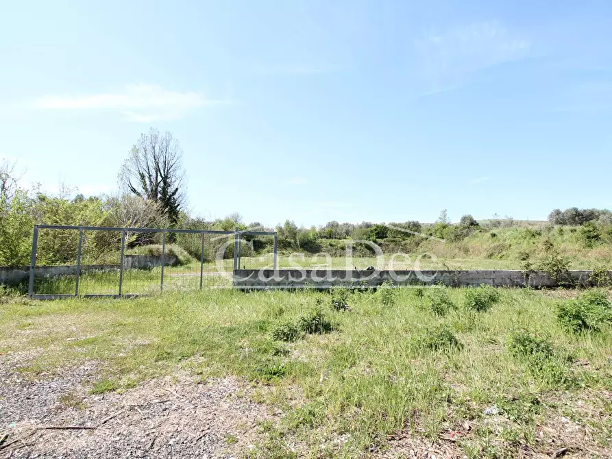 Immagine 3 di Terreno residenziale in vendita  in Via Casilina snc a Calvi Risorta